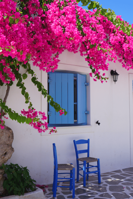 Marketplace touristique de la Corse