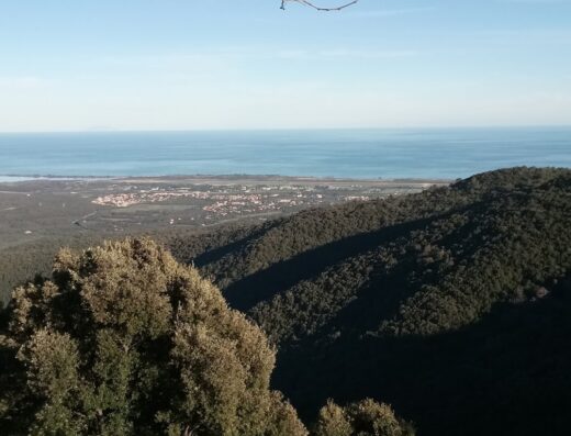 Domaine de Solenzara