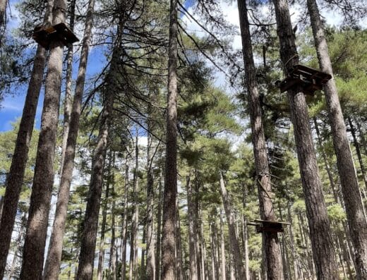 Parc aventure Corse Valdoniellu