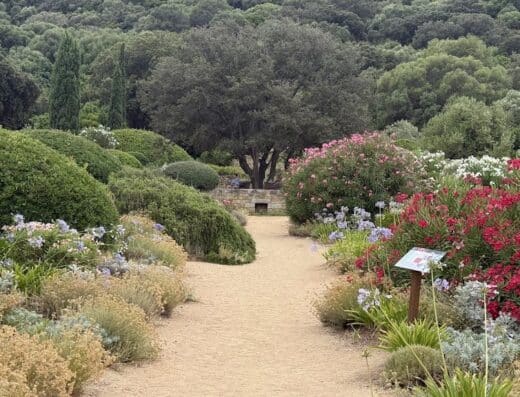 Parc de Saleccia